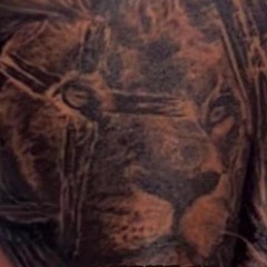 The E.M.P.D 2013 by Paracat