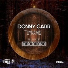 Donny Carr - Dynamis (IBT026)
