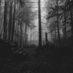 Edwin Rosen - Verschwende deine Zeit (Tekk Remix)