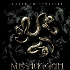 MESHUGGAH - Mind's Mirrors/In Death - Is Life/In Death - Is Death