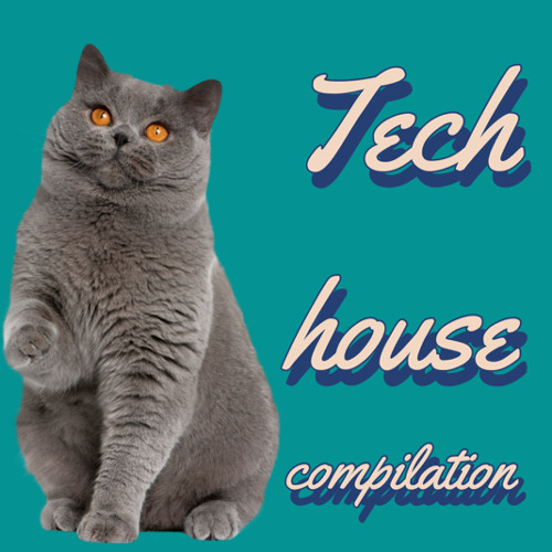 The father of tech house(tech house compilation Mix 2022)