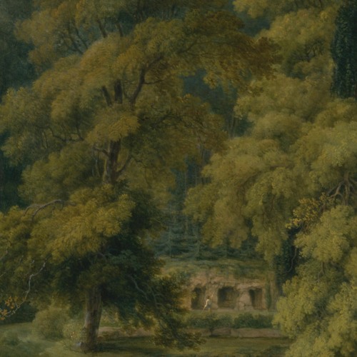 Brombaer - Embracing the Tree of Life