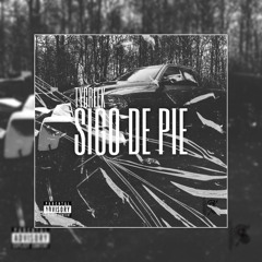 TYGREEK - SIGO DE PIE