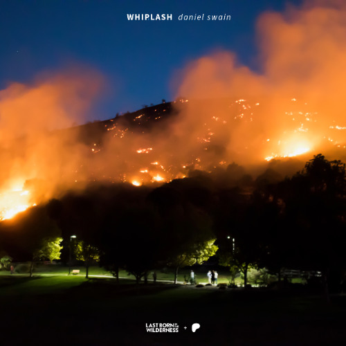 Preview / Whiplash / Daniel Swain