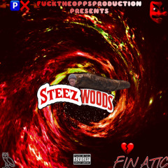 WOODS - FINATIC (@STEEZTHEPRODUCER DISS)