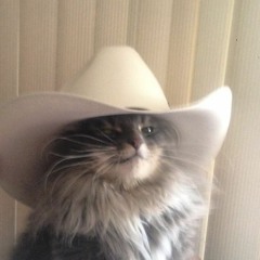 simplesmente achei essa musica de cowboy perdido na minha pasta de projetos