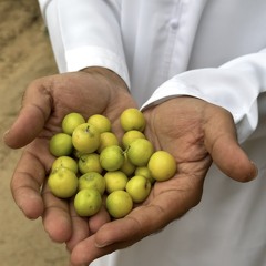 سورة المؤمنون - الشيخ ياسر الدوسري