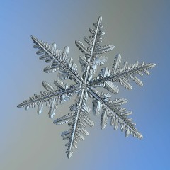winter's exuent