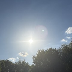 in the sun!