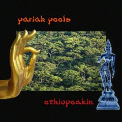 Ethiopeakin'