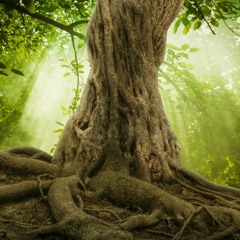 Grounding Meditation For Anxiety Relief (Guided Meditation)