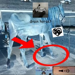 i dont want to talk abt it😭 drain horse?😇