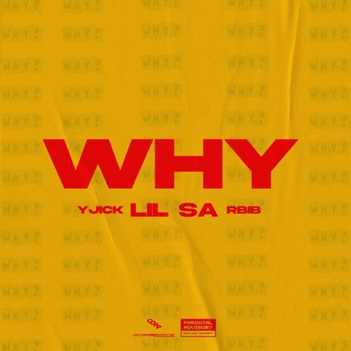 Why (feat. Yjick & Rbib)