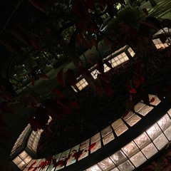 не навсегда +akinoasa (elyth + doremio)