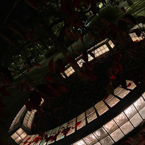 не навсегда +akinoasa (elyth + doremio)