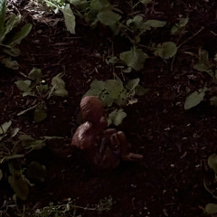 Blush (Prod. Rubbish)