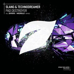 Slang & Technodreamer - Pad Destroyer (mredrollo Remix)