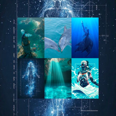 House Mix: 2026 Pisces Season Mix (Surrender To Divine Guidance)