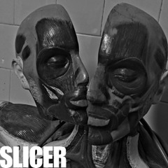 SLICER (FREE DOWNLOAD)