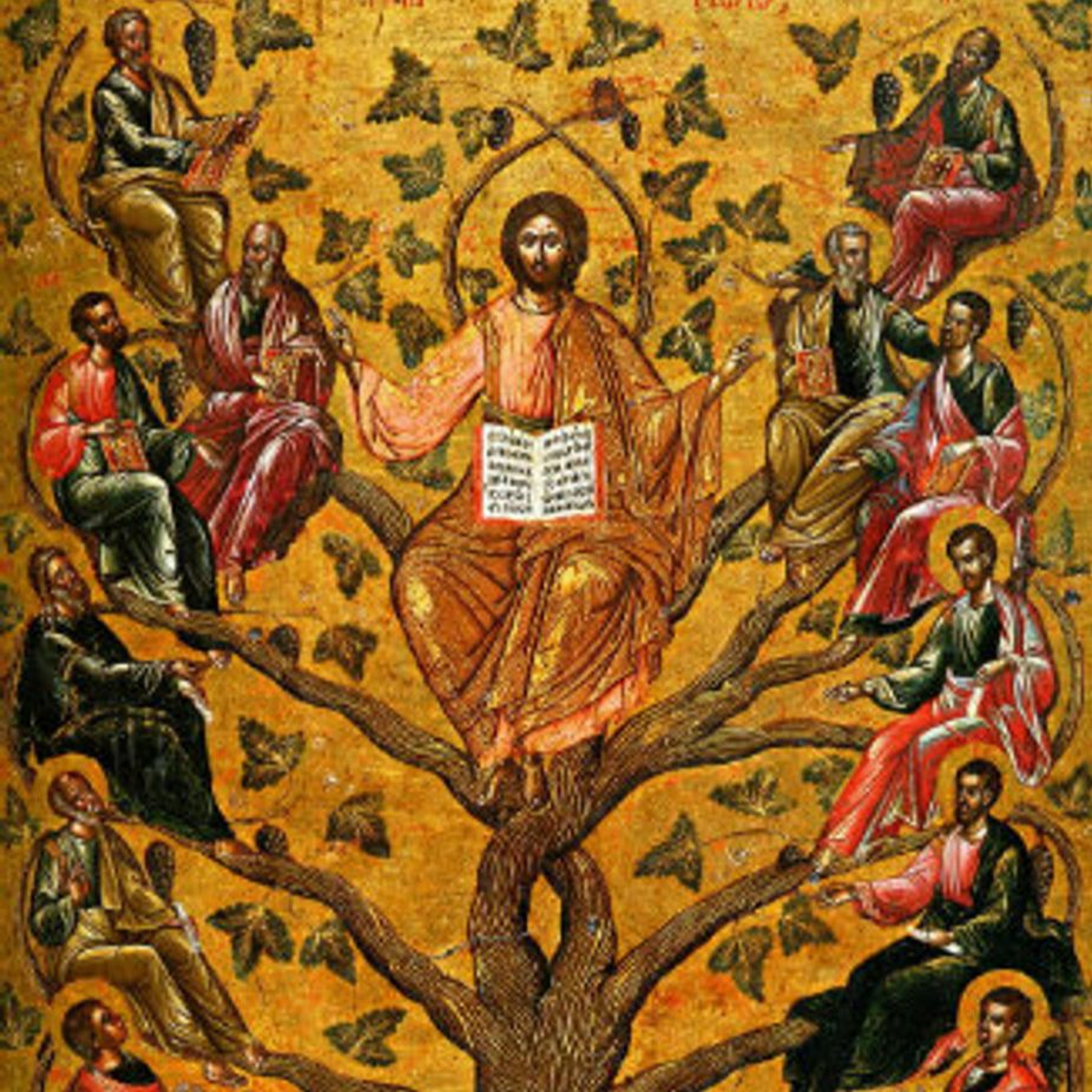 Session 6: Mariology is Biblical episode artwork