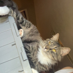 Broken by Lilgrayfry