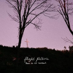 Flight Patterns - I Would Throw My Vape In A Cornfield For You (Remastered)