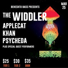 Live @ the Capital Ballroom opening for Widdler