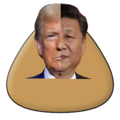 pou X phonk X America X China