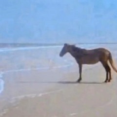 Wicked Game (Aexhy Rework)