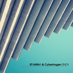 STɅMINɅ & Cyberhagen - SNDY