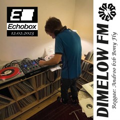 Dimelow FM #14 - Reggae: Androo b2b Bony Fly - Echobox Radio 12 - 02 - 23
