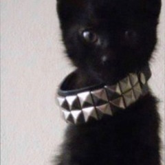 888888888888888-sibber-.mp3