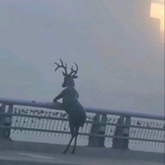 "Ancient"- Trap Type Beat / Future Type /Rap Type