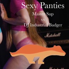 Sexy Panties (Master Sup vs DJ Industrial Badger)