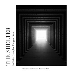 The Shelter - Friedrich Gattermann - Infinite Samples Pangea