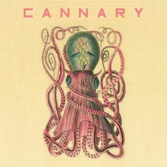 Cannary - Talking Heads