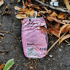 leaf litter (disquiet0712)