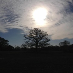 The Son Shall Rise By Angela Mack recorded in Grafton, WI