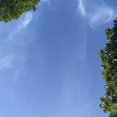 1406