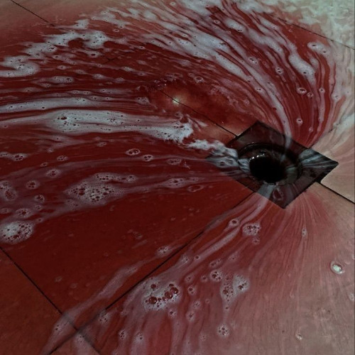 Needle (demo) - VCC G Rose