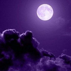 Purple Nights (Tekk Bootleg)