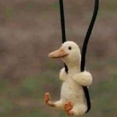 Crush Phase (renewed)