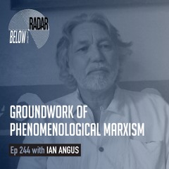 Groundwork of Phenomenological Marxism — with Ian Angus