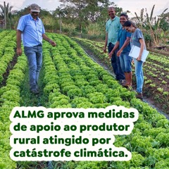 ALMG aprova medidas de apoio ao produtor rural atingido por catástrofe climática