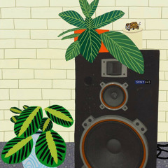 brokemogul radio
