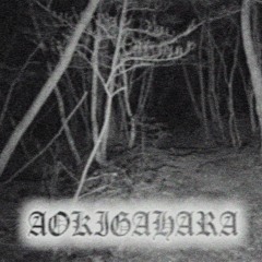 AOKIGAHARA