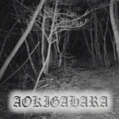 AOKIGAHARA
