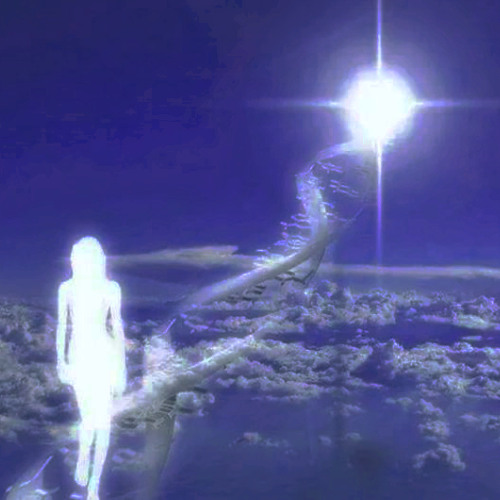 SCRAP \\ Diazepam // SCRAP