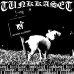 TUNKKASET - SYSTEEMI
