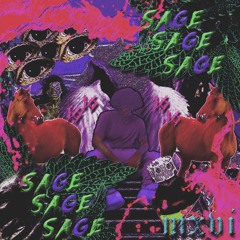 RIOT FREESTYLE "SAGE" #333TRIBUTE PROD.BANG